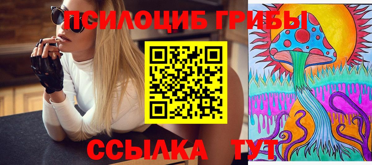 магазин  наркотиков  Псилоцибиновые грибы мухоморы  Вход с VPN  Новоалександровск 